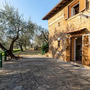 https://casetta-maduneta-immersa-in-un-oliveto.hotelitalianriviera.com